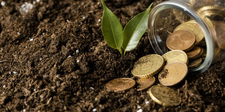 Goiás tem 14 municípios entre os 100 mais ricos em agronegócio do Brasil