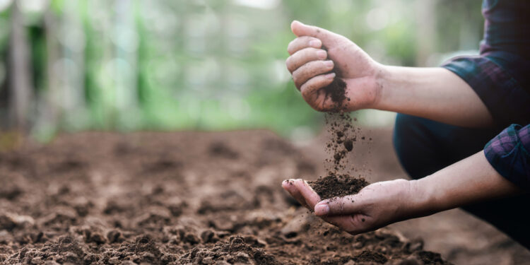 Efeitos negativos de produção de alimentos é quase 10% do PIB global