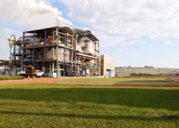 CRV Industrial encerra safra com aumento de produção de açúcar