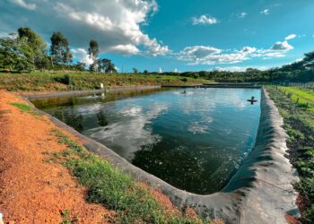 Aviva trata 101 milhões de litros de água por mês, o equivalente a mais de 40 piscinas olímpicas