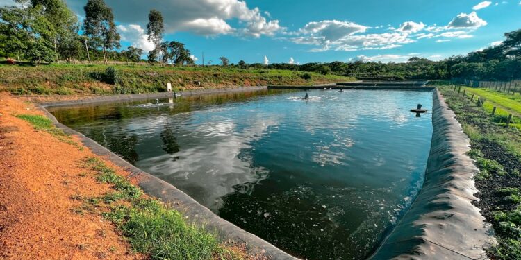 Aviva trata 101 milhões de litros de água por mês, o equivalente a mais de 40 piscinas olímpicas