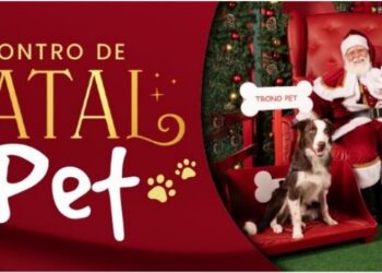 Passeio das Águas Shopping promove encontro de Natal para pets