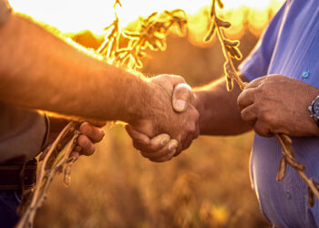 Multinacional Ascenza lança nove produtos para a safra 2023/24