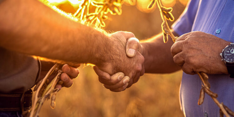 Multinacional Ascenza lança nove produtos para a safra 2023/24