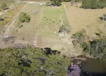 Lotes urbanizados e o combate aos loteamentos ilegais