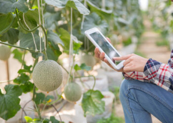 Cibercriminosos visam o setor do agronegócio, responsável por 10% dos ataques de ransomware no Brasil