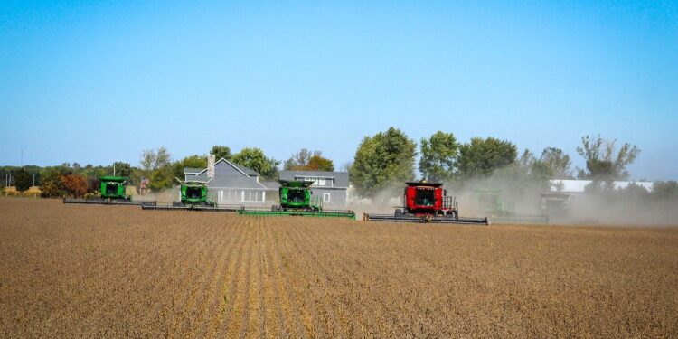 Lavoro compra varejista Coram e anuncia emissão de CRAs no valor de R$ 420 milhões