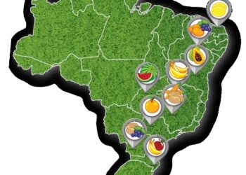 Indicação Geográfica: Produtos regionais do agro podem ganhar o Mercosul