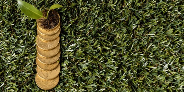 2024 será o ano das recuperações judiciais? Agro em sinal de alerta