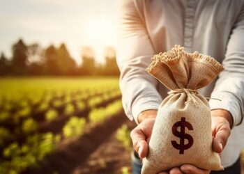 Agronegócios e franquias: expressivos números atraem cada vez mais empreendedores