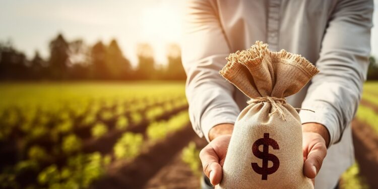 Agronegócios e franquias: expressivos números atraem cada vez mais empreendedores