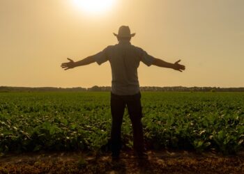 Ano recorde para o agro brasileiro no mundo