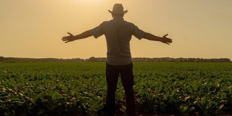 Ano recorde para o agro brasileiro no mundo