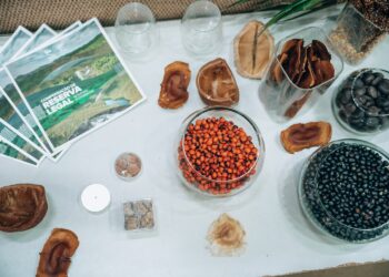 Cerrado do Norte Goiano recebe novas pesquisas científicas em 2024