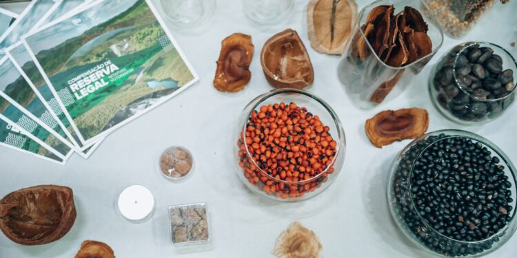 Cerrado do Norte Goiano recebe novas pesquisas científicas em 2024