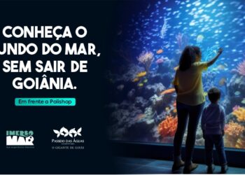 Passeio das Águas Shopping recebe exposição imersiva sobre o fundo do mar