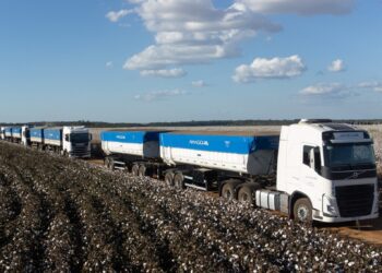 Amaggi amplia sua frota para a safra de 2024 e chega a 500 rodotrens Librelato