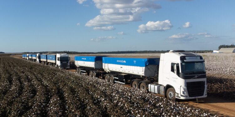 Amaggi amplia sua frota para a safra de 2024 e chega a 500 rodotrens Librelato