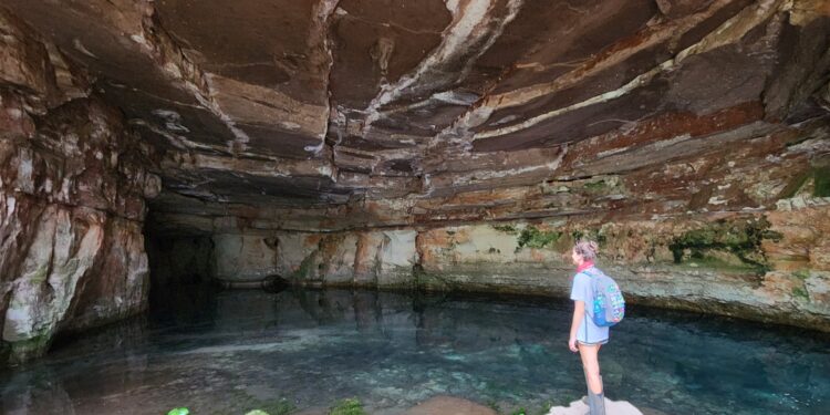 Chapada dos Guimarães: o destino que vem conquistando a preferência dos apaixonados por natureza