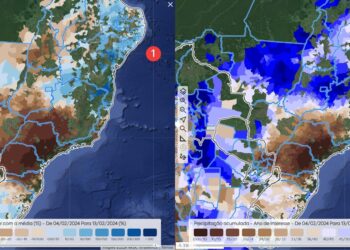 Chuvas favorecem plantio de milho segunda safra