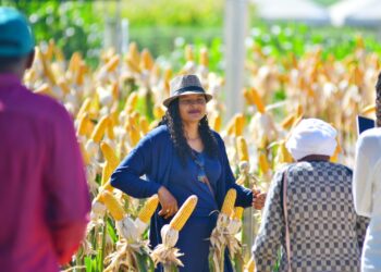 Com o tema: ‘Agro do Futuro a Gente Cultiva Hoje’, 15ª edição da AgroBrasília ocorre em maio