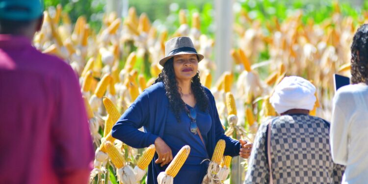 Com o tema: ‘Agro do Futuro a Gente Cultiva Hoje’, 15ª edição da AgroBrasília ocorre em maio
