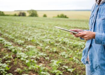 Financiamentos privados ao agronegócio disparam