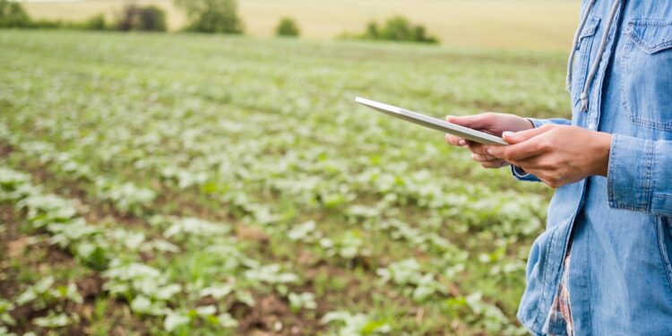 Financiamentos privados ao agronegócio disparam