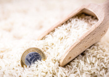 Novas cultivares e pivô de irrigação vão ajudar a diminuir preço do arroz em MT