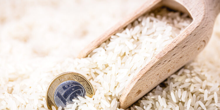 Novas cultivares e pivô de irrigação vão ajudar a diminuir preço do arroz em MT