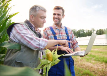 O equilíbrio contratual e a reestruturação de contratos no agro