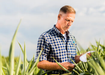 Produtor rural endividado, cuidado com o gerente do seu banco