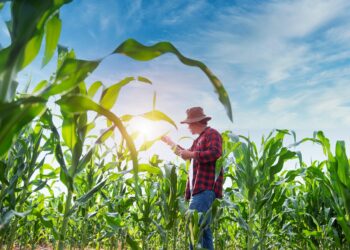Tecnologia e inovação no agronegócio: conheça as tendências para o setor em 2024