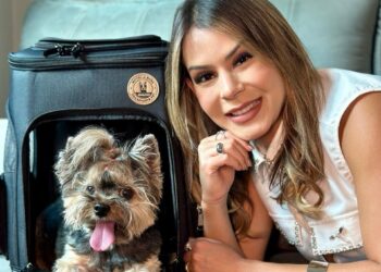 Umuarama Concessionária Volkswagen oferece acessórios para transporte pet