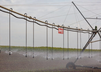 Altas temperaturas exigem mudanças no manejo da irrigação com pivô