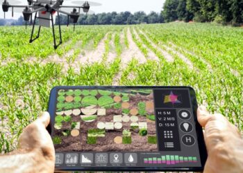 Agricultura de Precisão: mais que uma tecnologia, um investimento no agro brasileiro