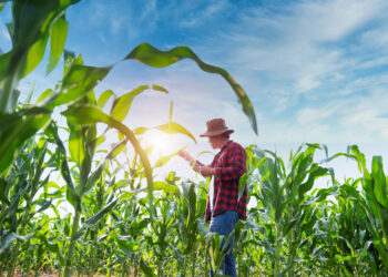 Bart Digital leva soluções de I.A. para o Show Safra em Mato Grosso