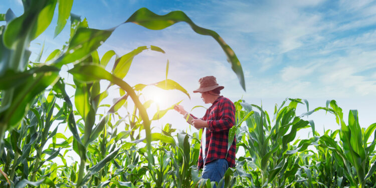 Bart Digital leva soluções de I.A. para o Show Safra em Mato Grosso