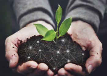 Cibra conquista 2° lugar na Premiação Agilidade Brasil 2024