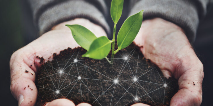 Cibra conquista 2° lugar na Premiação Agilidade Brasil 2024