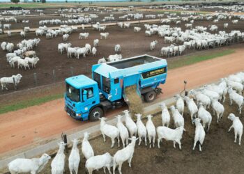 Feiras em MT levam tecnologias ao pecuarista com foco em eficiência