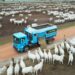 Feiras em MT levam tecnologias ao pecuarista com foco em eficiência