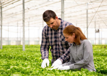 SENAR GO e FIA Business School formam lideranças do agronegócio em Goiás