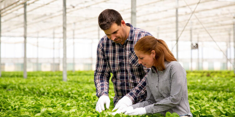 SENAR GO e FIA Business School formam lideranças do agronegócio em Goiás