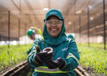 Jalles, companhia do setor sucroenergético, é uma das usinas com mais mulheres