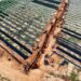 Yellot passa a oferecer serviço de EPC para grandes usinas fotovoltaicas