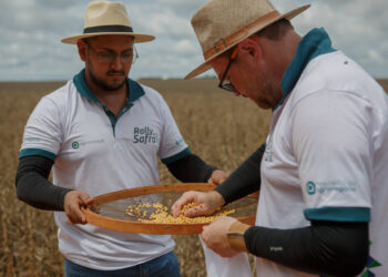Agroconsult revisa área plantada e produção de soja chega a 156,5 milhões de toneladas