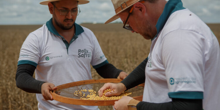Agroconsult revisa área plantada e produção de soja chega a 156,5 milhões de toneladas