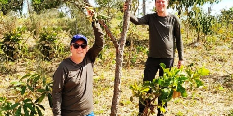 Bio2Me: inovação e sustentabilidade no cultivo de bioativos para a valorização do Cerrado