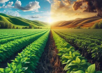 Como o agro vai reagir diante das mudanças climáticas?